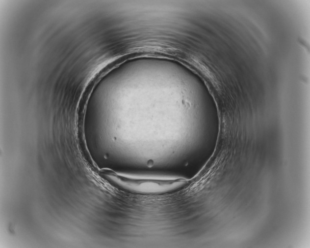 X0000096441020200802071743