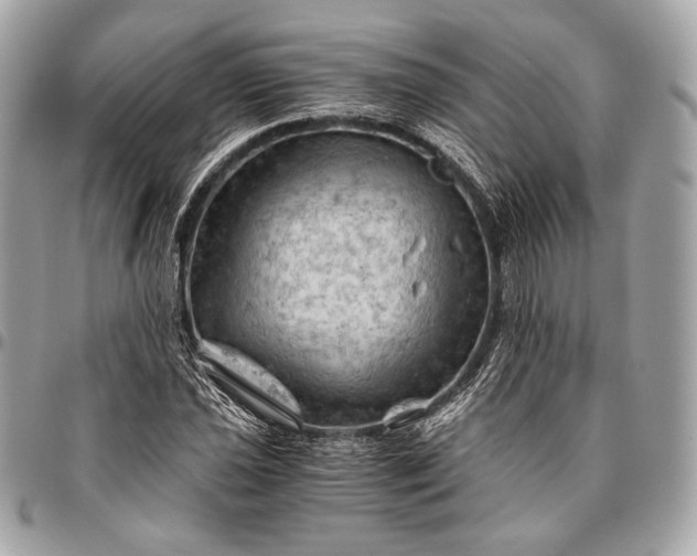 X0000096441021200802071743