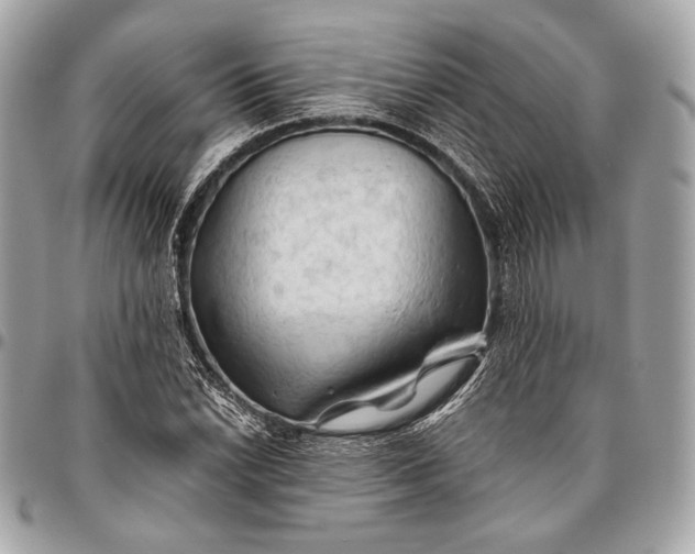 X0000096441022200802071743