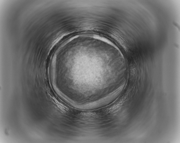 X0000096441023200802071743