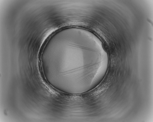 X0000096441024200802071743