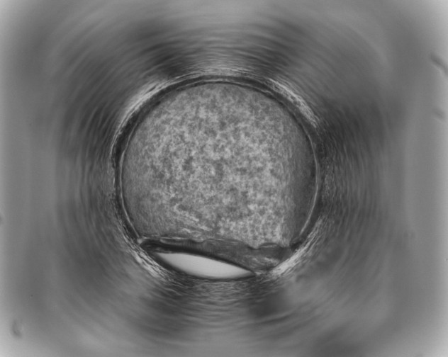 X0000096441027200802071743