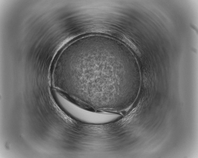 X0000096441028200802071743