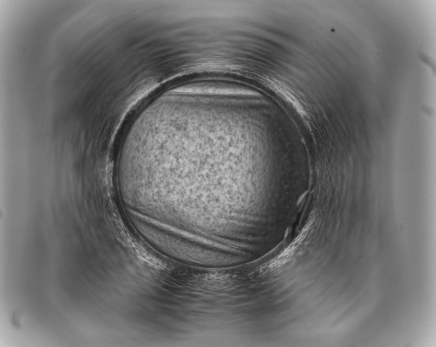 X0000096441029200802071743