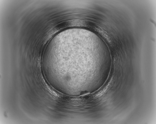 X0000096441033200802071743