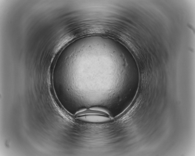 X0000096441034200802071743