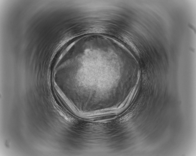 X0000096441035200802071743