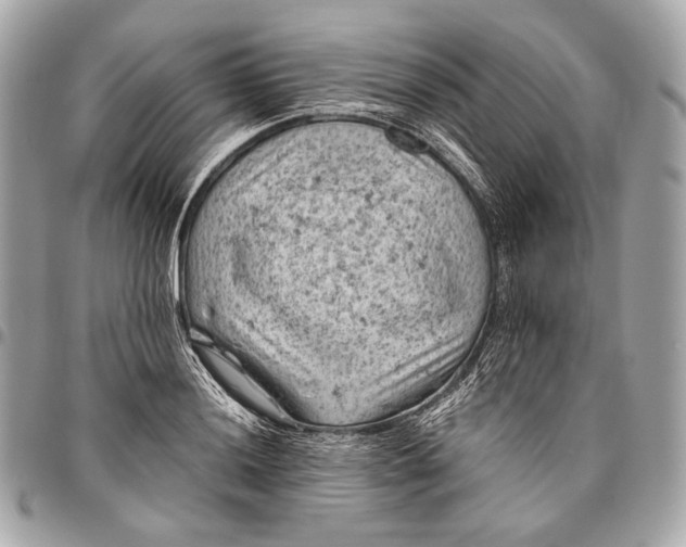 X0000096441036200802071743