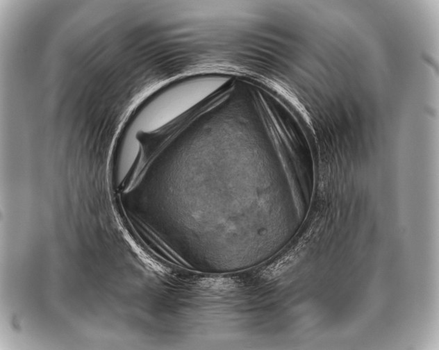 X0000096441037200802071743