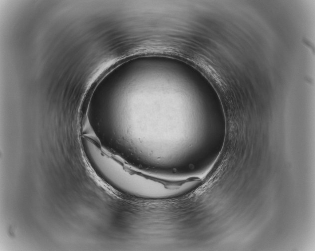 X0000096441038200802071743