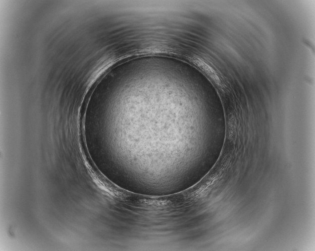 X0000096441039200802071743