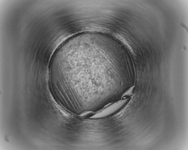 X0000096441040200802071743