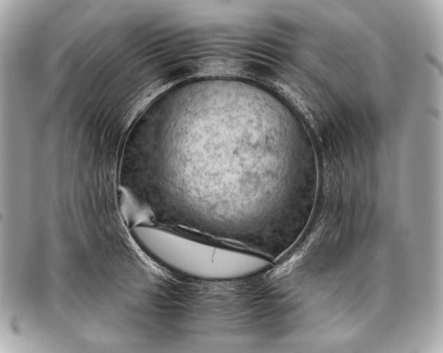 X0000096441041200802071743