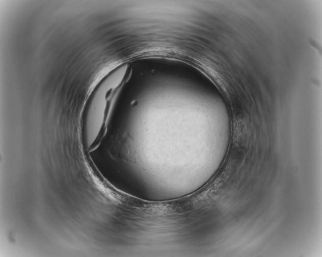 X0000096441042200802071743