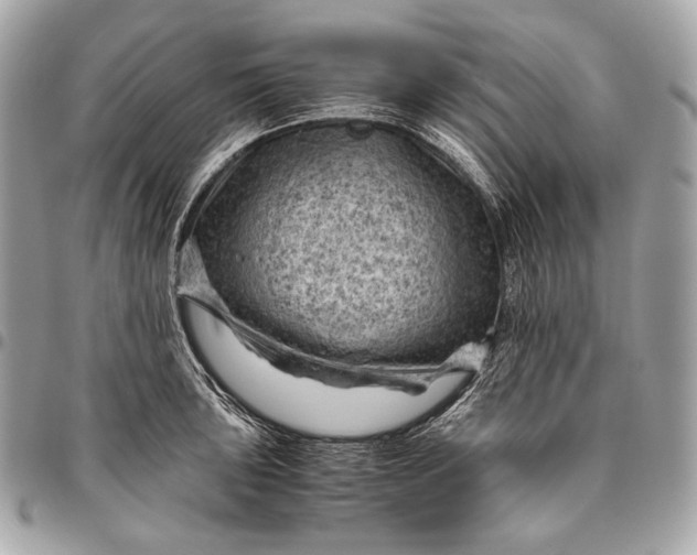 X0000096441043200802071743