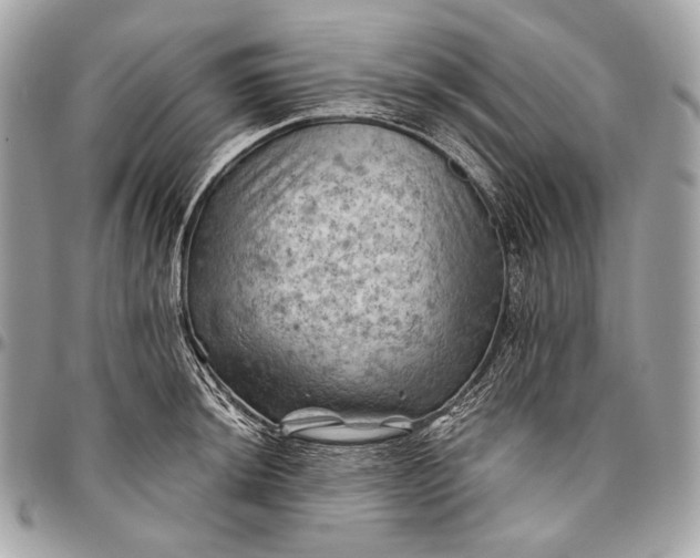 X0000096441044200802071743