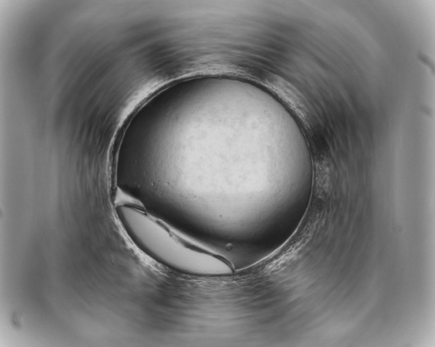 X0000096441046200802071744