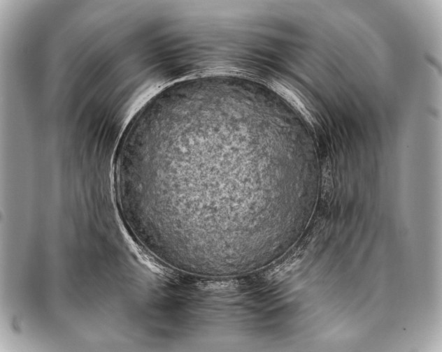 X0000096441047200802071744