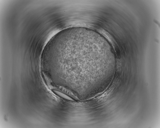 X0000096441048200802071744