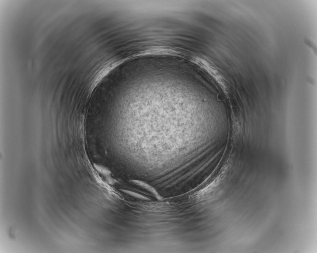 X0000096441049200802071744