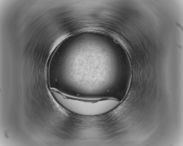 X0000096441050200802071744