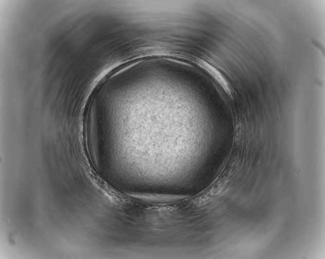 X0000096441051200802071744