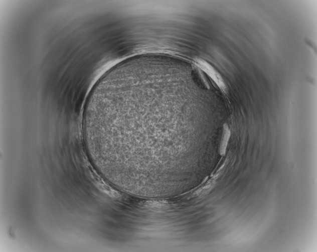 X0000096441052200802071744