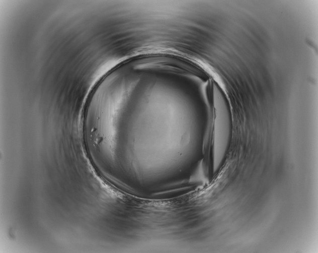 X0000096441053200802071744