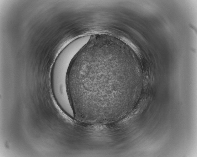 X0000096441055200802071744