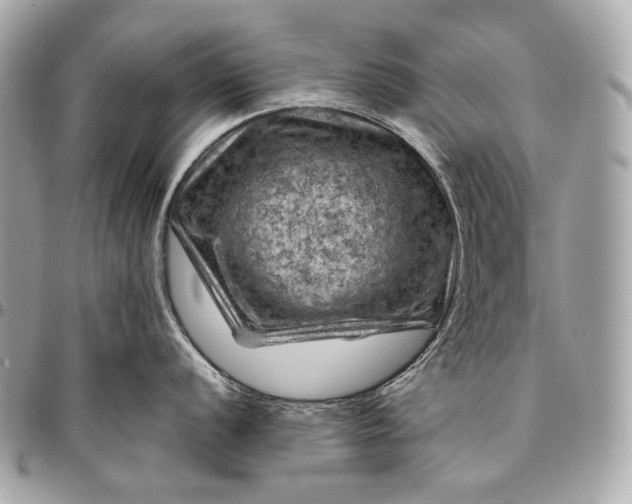 X0000096441056200802071744