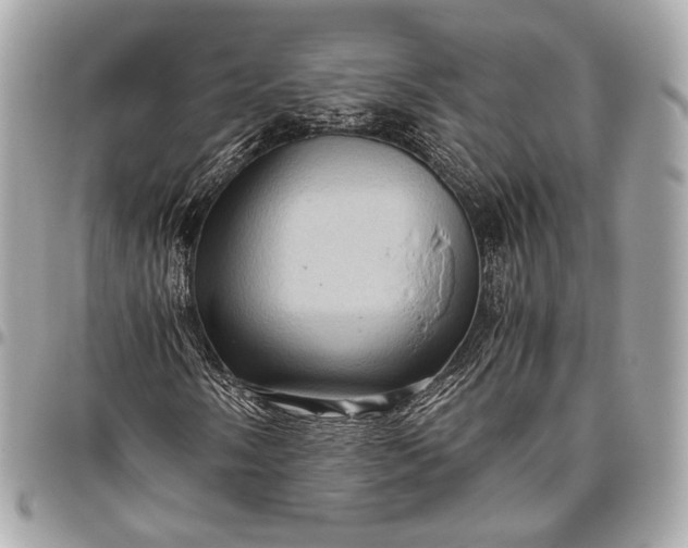 X0000096441058200802071743