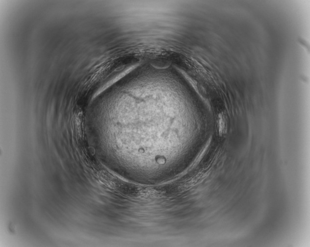 X0000096441059200802071743