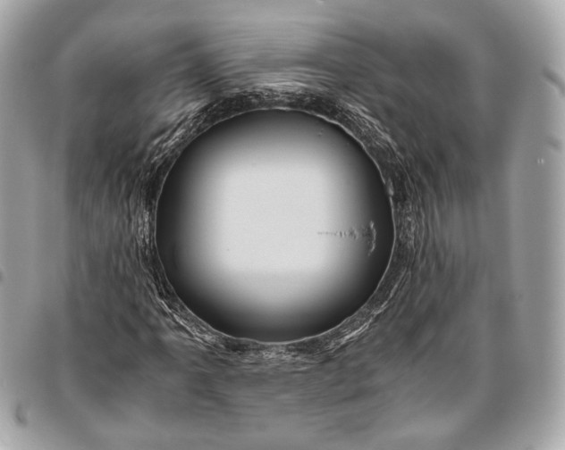 X0000096441061200802071743