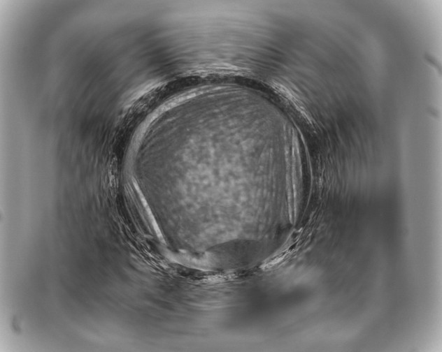 X0000096441063200802071743