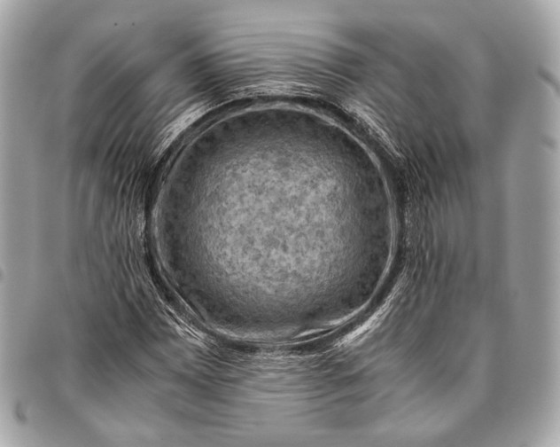 X0000096441065200802071743