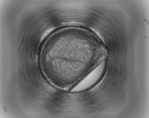 X0000096441066200802071743