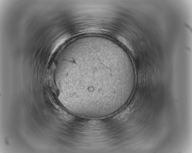 X0000096441067200802071743