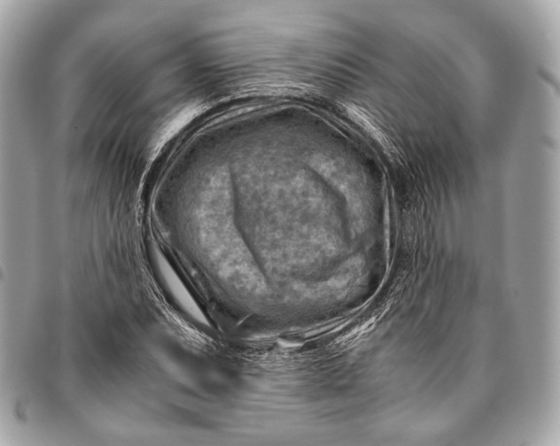 X0000096441071200802071743