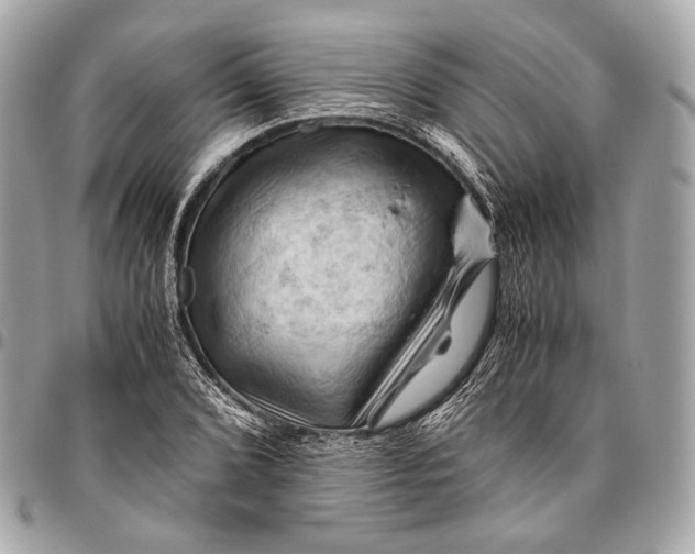 X0000096441072200802071743