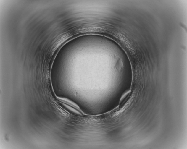 X0000096441073200802071743