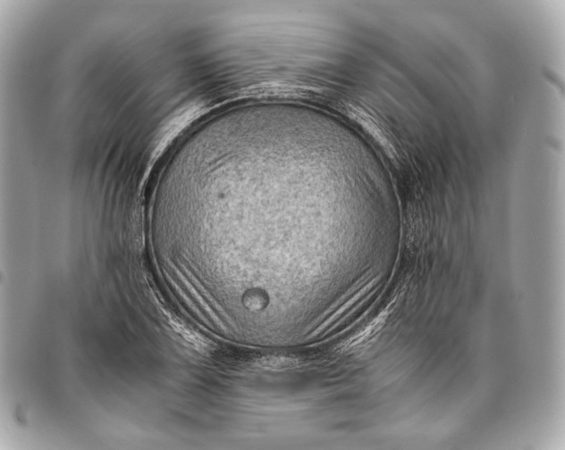 X0000096441075200802071743