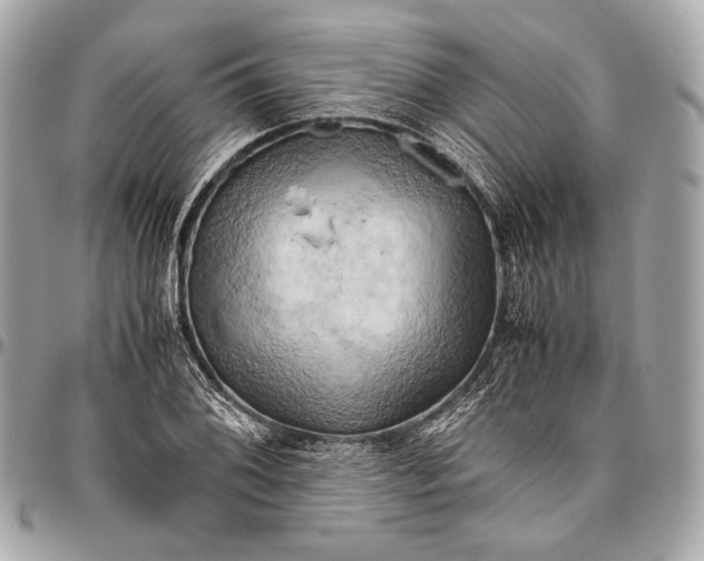 X0000096441076200802071743