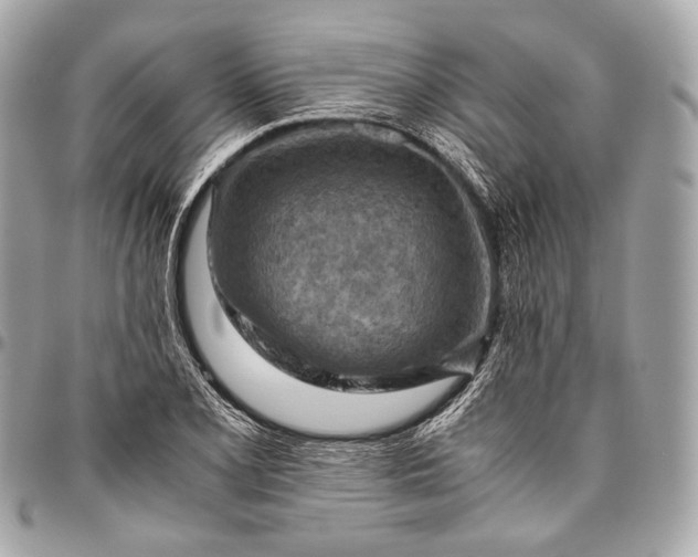 X0000096441077200802071743