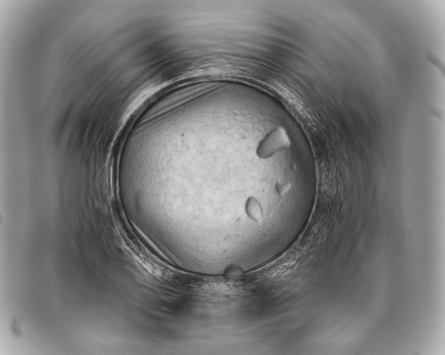 X0000096441078200802071743