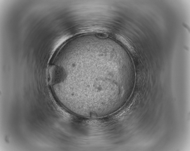 X0000096441079200802071743