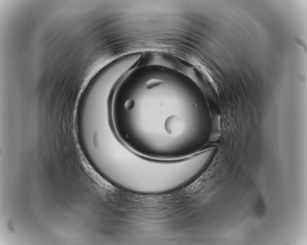 X0000096441080200802071743