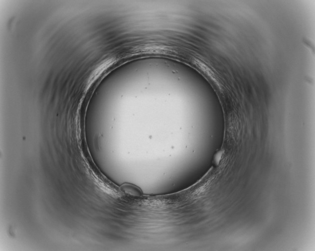 X0000096441082200802071743