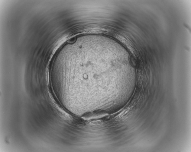 X0000096441083200802071743