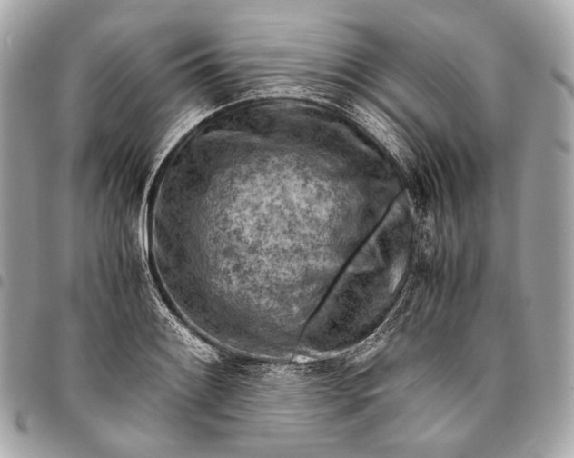 X0000096441084200802071743