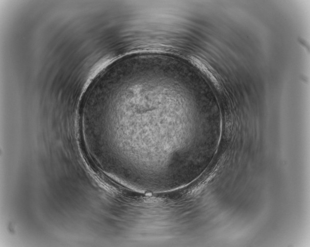 X0000096441085200802071743